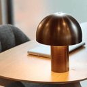 Lore Desk Lamp | Brushed Bronze