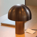Lore Desk Lamp | Brushed Bronze
