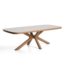 Mirtia Rectangular Patio Dining Table