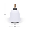 Monica Portable LED Lamp