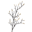 Artificial Magnolia Bud Branch | Tall