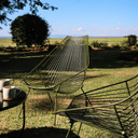 Piha Patio Armchair Lounger SS | Fern