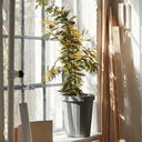 HAY Shade Bin |  Dusty Green