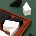 Shapeshifter Puzzle Game