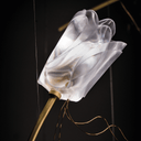 Tulip Linear Pendant | Small