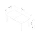 Yasuni Extension Dining Table