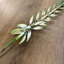 Artificial Agave Flowering Stem