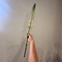 Artificial Agave Flowering Stem