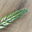 Artificial Agave Flowering Stem