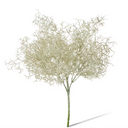 Artificial Air Plant Bush Stem