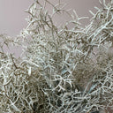 Artificial Air Plant Bush Stem