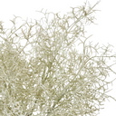 Artificial Air Plant Bush Stem