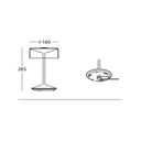 Crystal LED Rechargeable Table Lamp | Steel