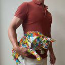 Diego the Bull Sculpture | Graffiti