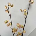 Artificial Elm Seedling Branch
