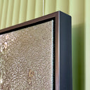 Fern Pano Canvas Framed Print