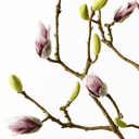 Artificial Magnolia Blossom Bud Branch | Pink