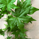 Artificial Japanese Maple Leaf Branch | Green