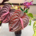 Artificial Purple Majestic Floral Arrangement