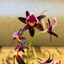 Artificial Purple Majestic Floral Arrangement