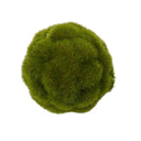 Artificial Marimo Moss Ball
