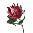 Artificial Protea King Stem