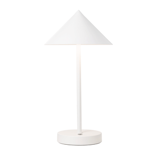 Rechargeable led floor lamp deals