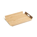 Fuji Rectangular Tray | LRG