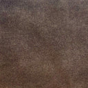 Nord Armchair | Casella Mink Velvet