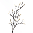 Artificial Magnolia Bud Branch