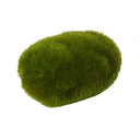 Artificial Marimo Moss Pebble | SML