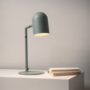 Pia Desk Lamp | Sage