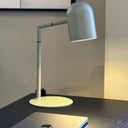 Pia Desk Lamp | Sage