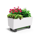 Glowpear Mini Bench Planter