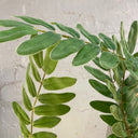 Artificial Tall Begonia Stem