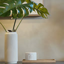 Frame Tray | Blue