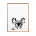 Koala Love Photographic Print